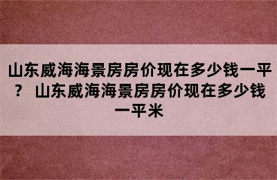 山东威海海景房房价现在多少钱一平？ 山东威海海景房房价现在多少钱一平米